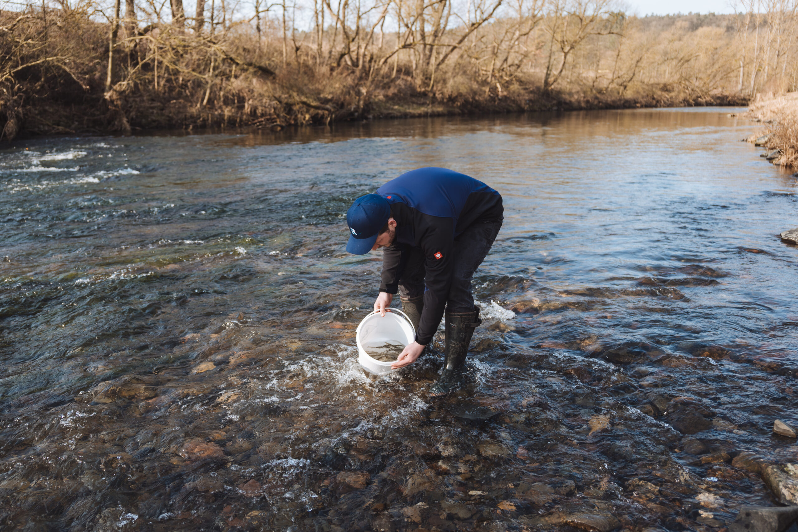 Erhalt der Artenvielfalt: Hessische Fischzüchter und der Schutz gefährdeter Fischarten