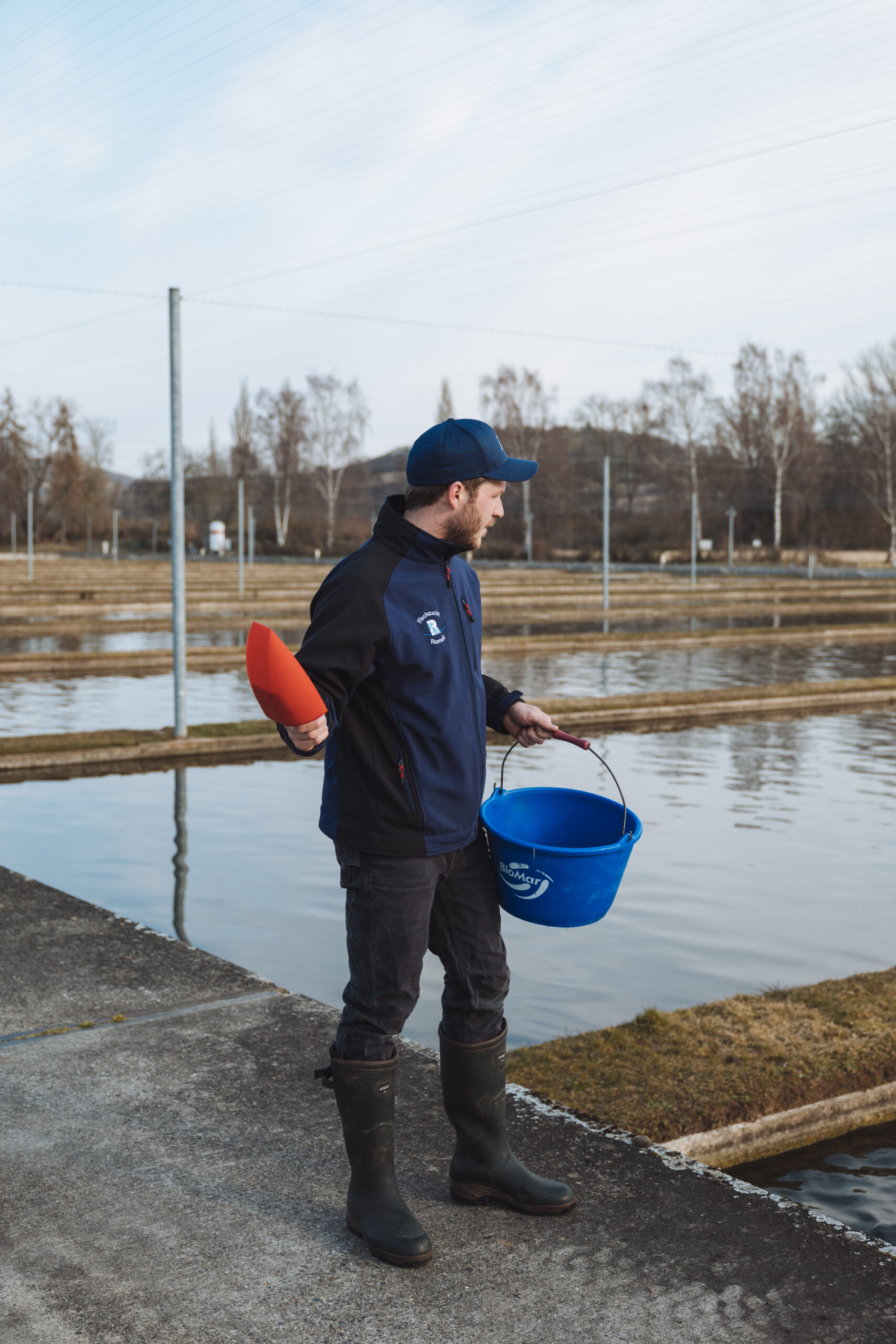 Handfütterung in hessischen Fischzuchten: Präzision und Erfahrung für gesunde Fische