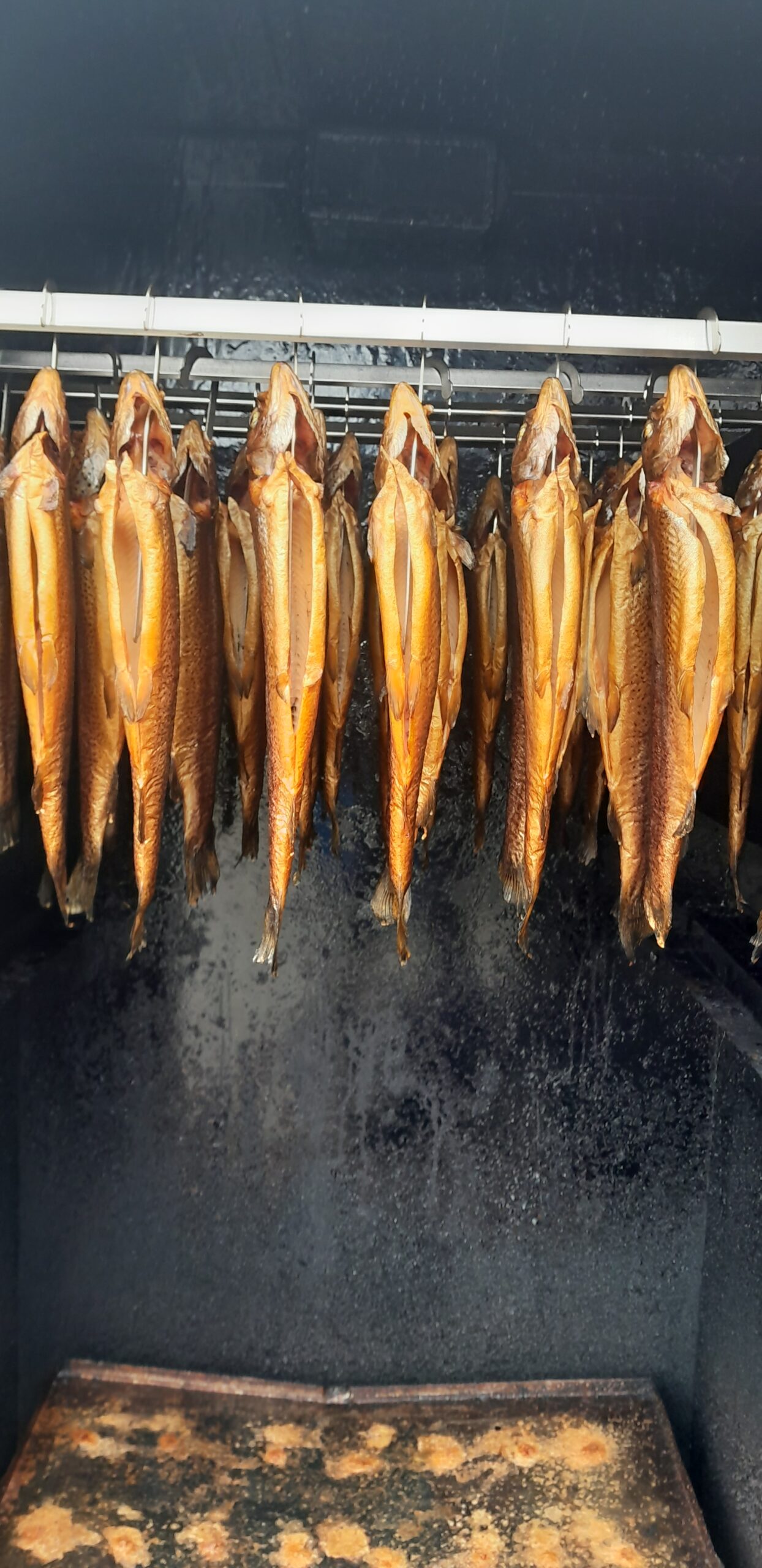 Räucherforellen richtig vorbereiten