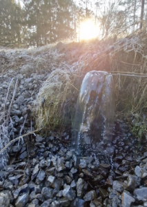 natürliche hygiene im teich