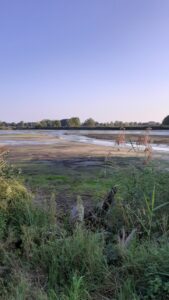 Abfischen im Herbst