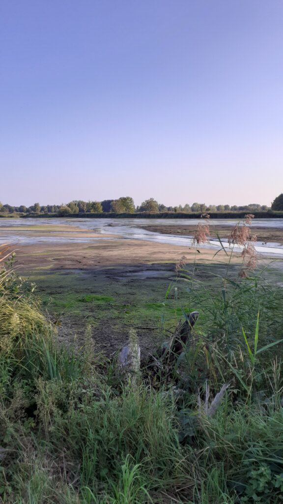 Abfischen im Herbst