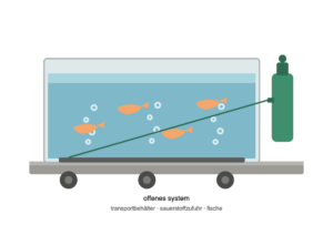 fischtransport_offenes_system