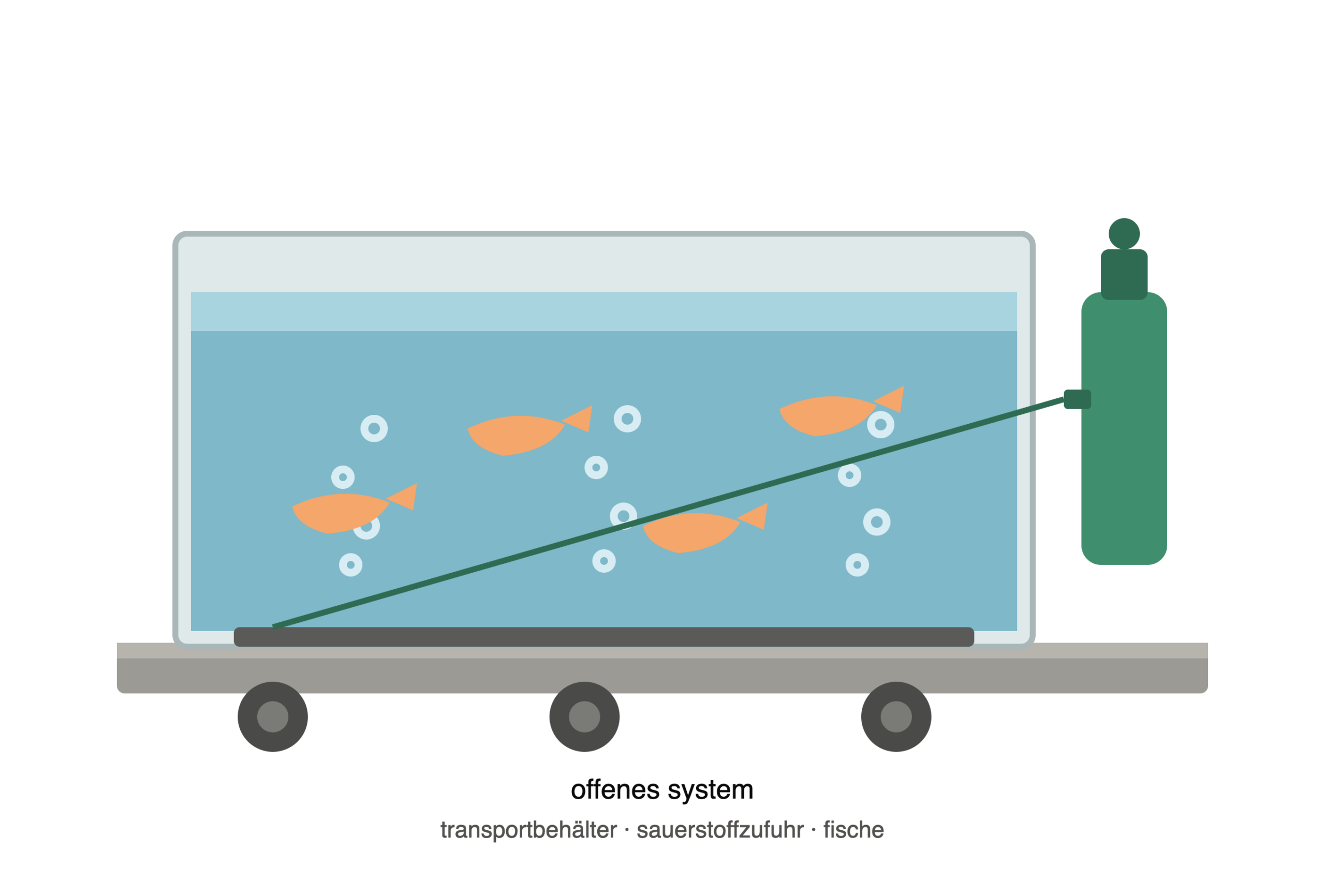 fischtransport_offenes_system